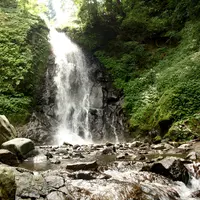 一乗滝の写真・動画_image_120475