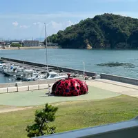 直島の写真・動画_image_1204766