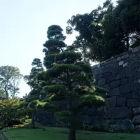 皇居東御苑の写真・動画_image_120627