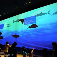 Orbi・Yokohaamの写真・動画_image_120729