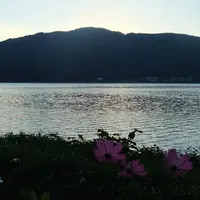 余呉湖の写真・動画_image_120767