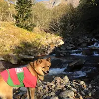 北沢の写真・動画_image_120849