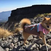 硫黄岳の写真・動画_image_120852