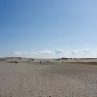 中田島砂丘の写真・動画_image_120881