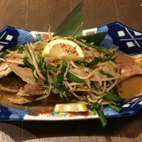 愛衆酒場 てっちゃんの写真・動画_image_1209881