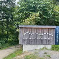 白馬岩岳スノーフィールドの写真・動画_image_1210574