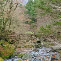 奥祖谷二重かずら橋の写真・動画_image_121137