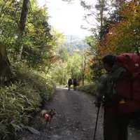 八ケ岳山荘の写真・動画_image_121297