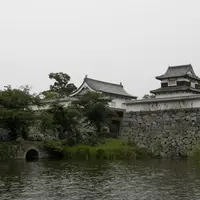 福岡城跡の写真・動画_image_121367