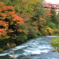 鶴仙渓の写真・動画_image_1214176