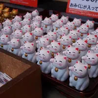 酒列磯前神社の写真・動画_image_121689