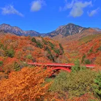 東沢大橋の写真・動画_image_1217948