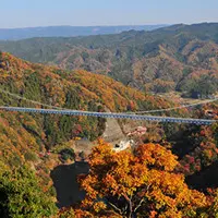 竜神大吊橋の写真・動画_image_121814