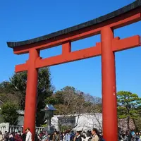 鶴岡八幡宮の写真・動画_image_121942