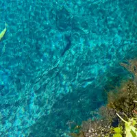 忍野八海の写真・動画_image_1219703