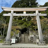 戸隠神社中社の写真・動画_image_1219705