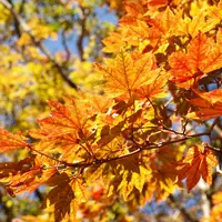 榛名山の写真・動画_image_122133