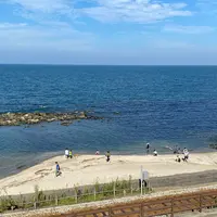 国定公園 雨晴海岸の写真・動画_image_1221548