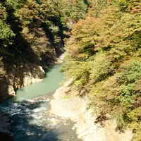 吾妻峡の写真・動画_image_122202