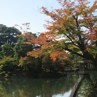 兼六園の写真・動画_image_122206