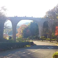 七沢森林公園の写真・動画_image_122246