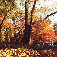 ぼうさいの丘公園の写真・動画_image_122248