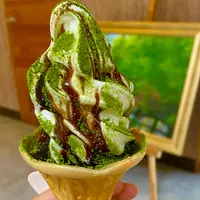奥入瀬渓流館の写真・動画_image_1222684