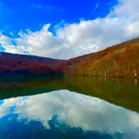 蔦沼の写真・動画_image_1222690