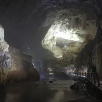 秋芳洞の写真・動画_image_122338