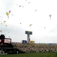 阪神甲子園球場の写真・動画_image_122397