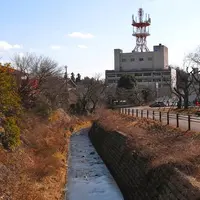 小川の周辺にはの写真・動画_image_122492