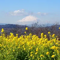 吾妻山公園の写真・動画_image_122581