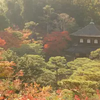 銀閣寺(東山慈照寺)の写真・動画_image_122592