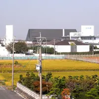 羽島市老人福祉センター 羽島温泉の写真・動画_image_122608