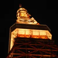 東京タワーの写真・動画_image_122618