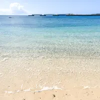ゴリラチョップの写真・動画_image_1227176
