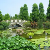 市立水生植物公園みずの森の写真・動画_image_122810
