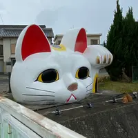 とこにゃんの写真・動画_image_1228313