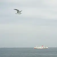 東京湾フェリーの写真・動画_image_122912