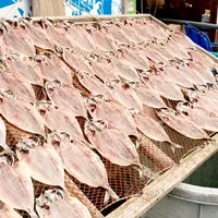 マルヨ商店の写真・動画_image_122921