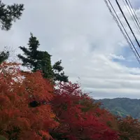 もみじ回廊の写真・動画_image_1229431