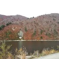 下折立銀山平の写真・動画_image_122997