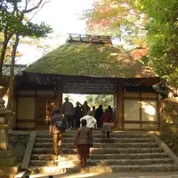 法然院の写真・動画_image_123065