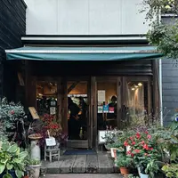 山鳩の写真・動画_image_1230833
