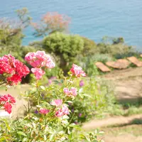 アカオハーブ＆ローズガーデンの写真・動画_image_1231054