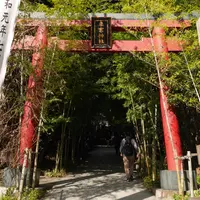 来宮神社 鳥居の写真・動画_image_1231067