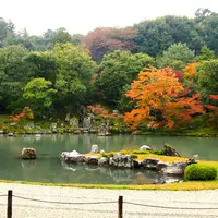 龍安寺の写真・動画_image_123208