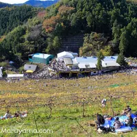 ココ・ファーム・ワイナリーの写真・動画_image_123360