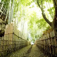 ひよどり坂の写真・動画_image_123396