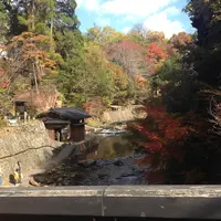 田の原川の写真・動画_image_123407